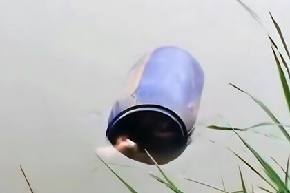 Mayat Wanita Dalam Drum di Sungai Cisadane