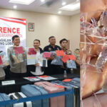 polisi gagalkan penyelundupan benih lobster