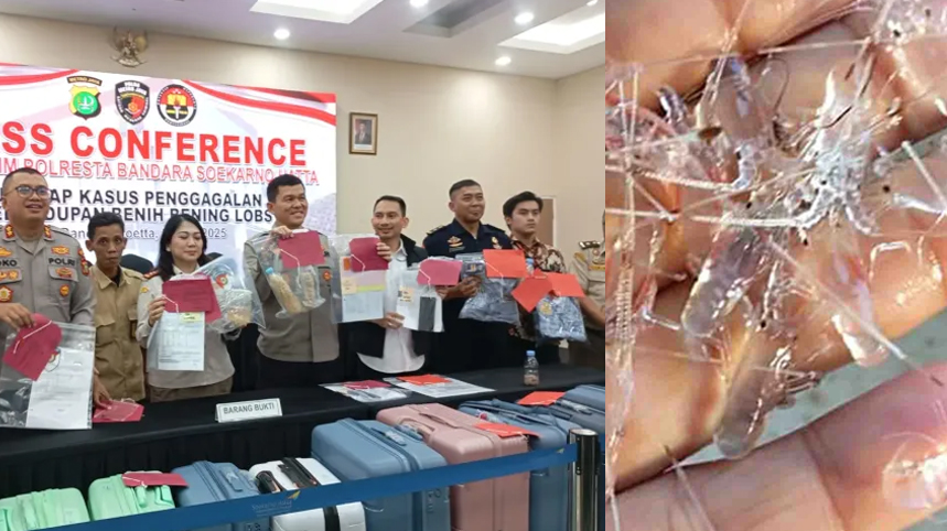 polisi gagalkan penyelundupan benih lobster