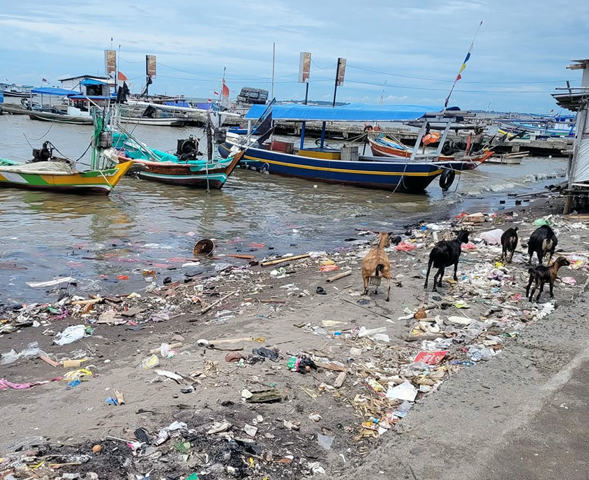 Ikan Laut Tercemar Mikroplastik, Ancaman Nyata untuk Kesehatan